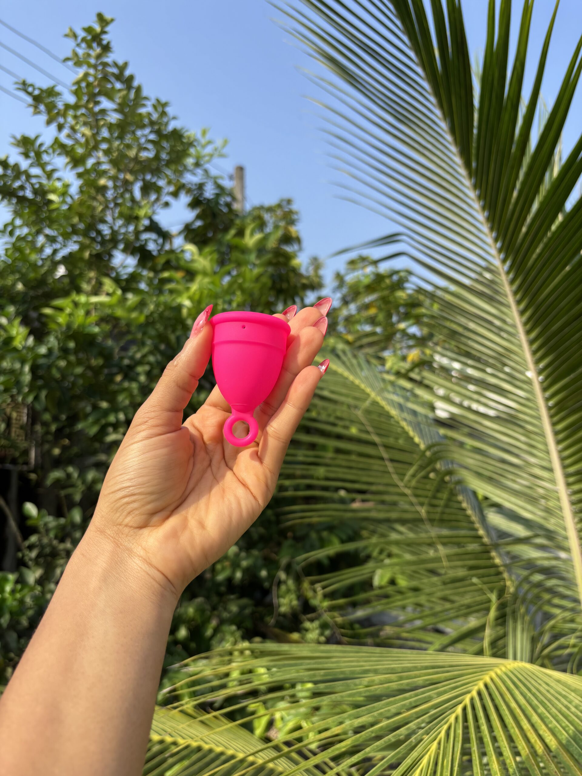 Menstrual Cup set - Image 14